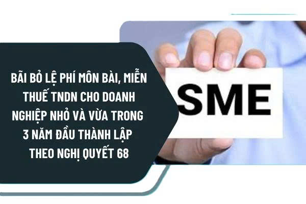 bai bo le phi mon bai